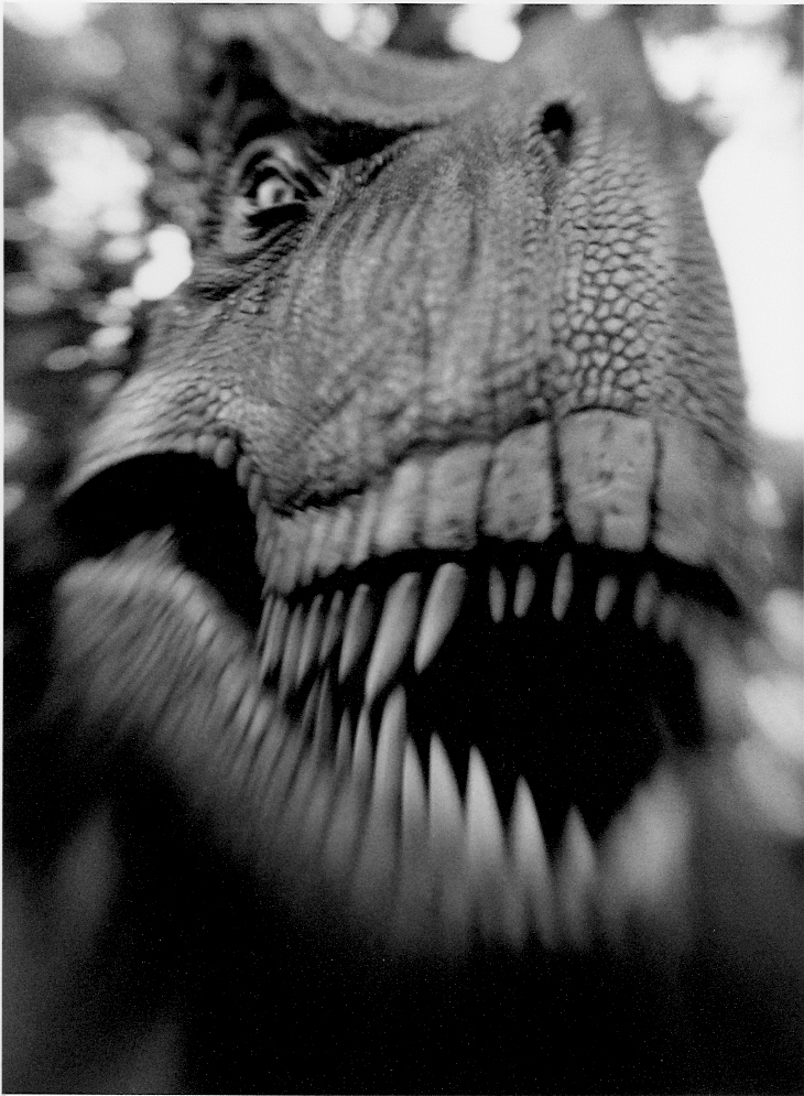 T-Rex at the Zoo, Saturday AM, Paul Ford.