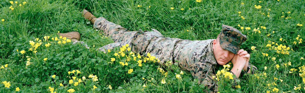 header_steveninabedofflowers header_steveninabedofflowers