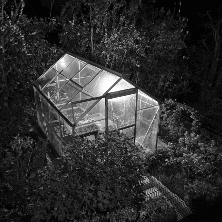Jean-Marc Yersin, The green house in the frosted night, 2020