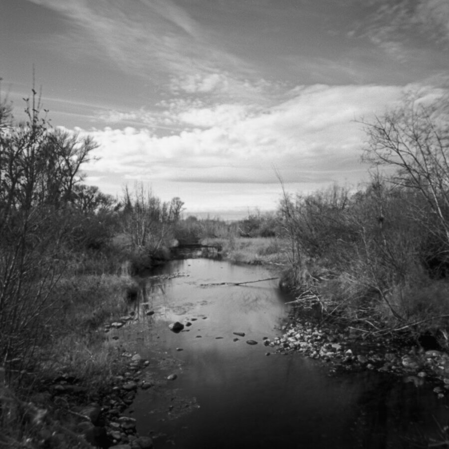 Ellen Sollod, Brush Creek, Saratoga, WY, 2018