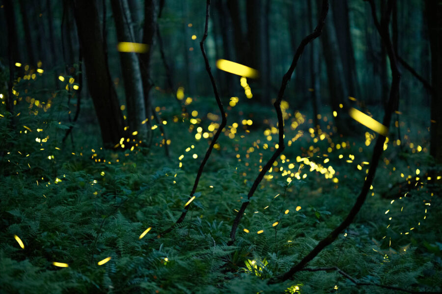 Kiliii Yuyan, Under Stories, 2021