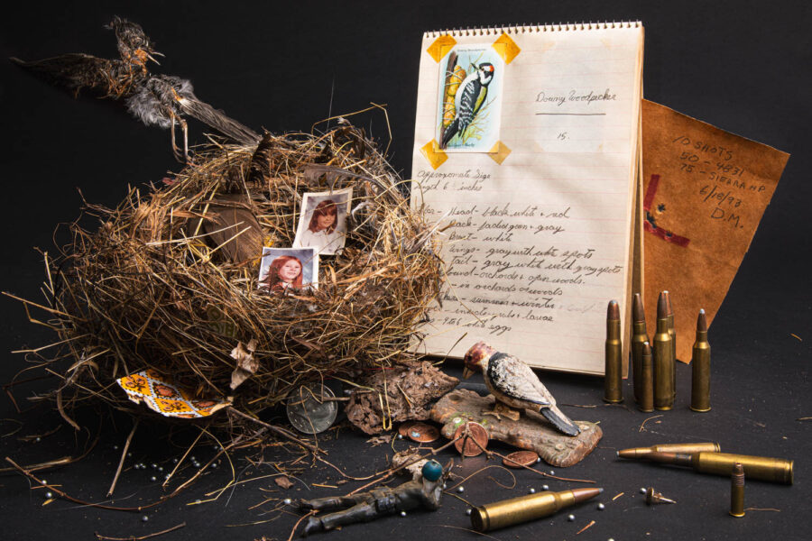 Ellen Mahaffy, Nesting, 2022