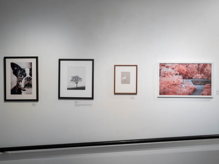 FocalPointInstall-49