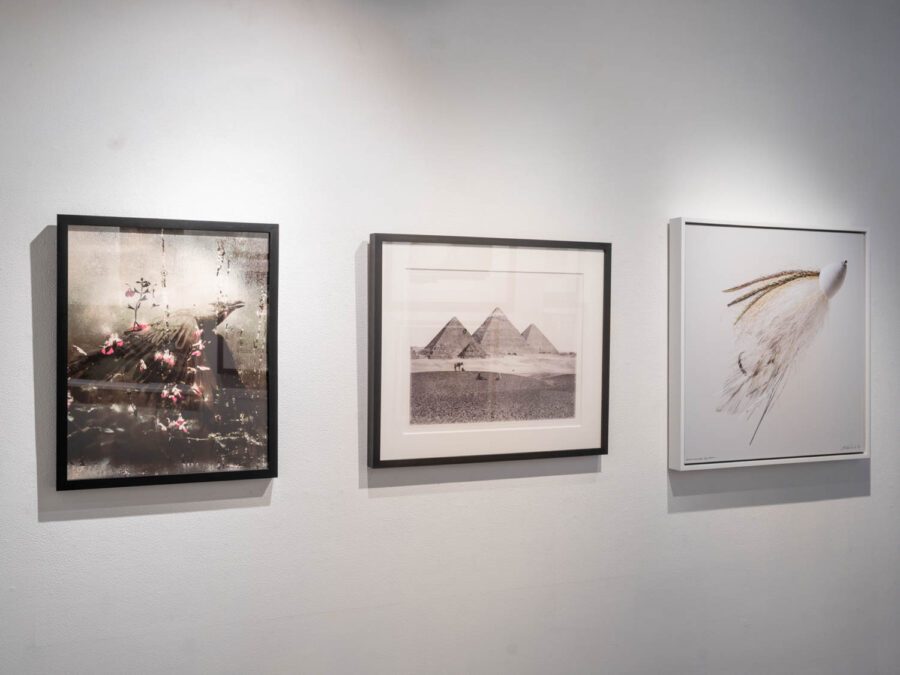 FocalPointInstall-54