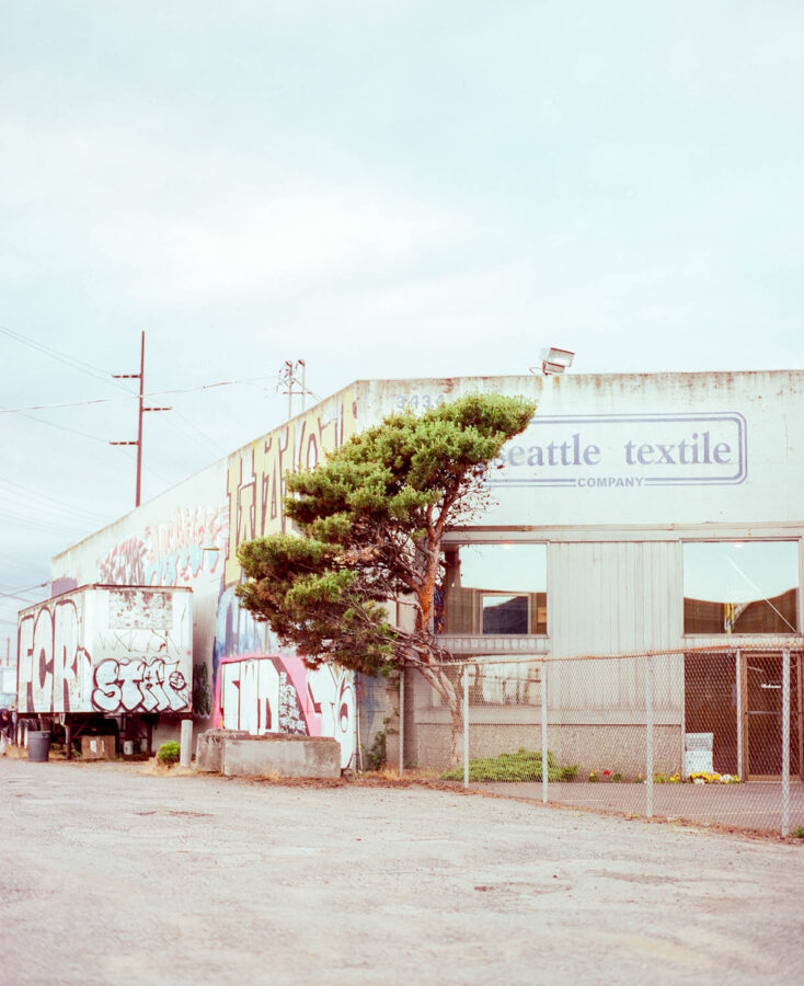 Paige Smith, Japanese Red Pine at Seattle Textile, 2023