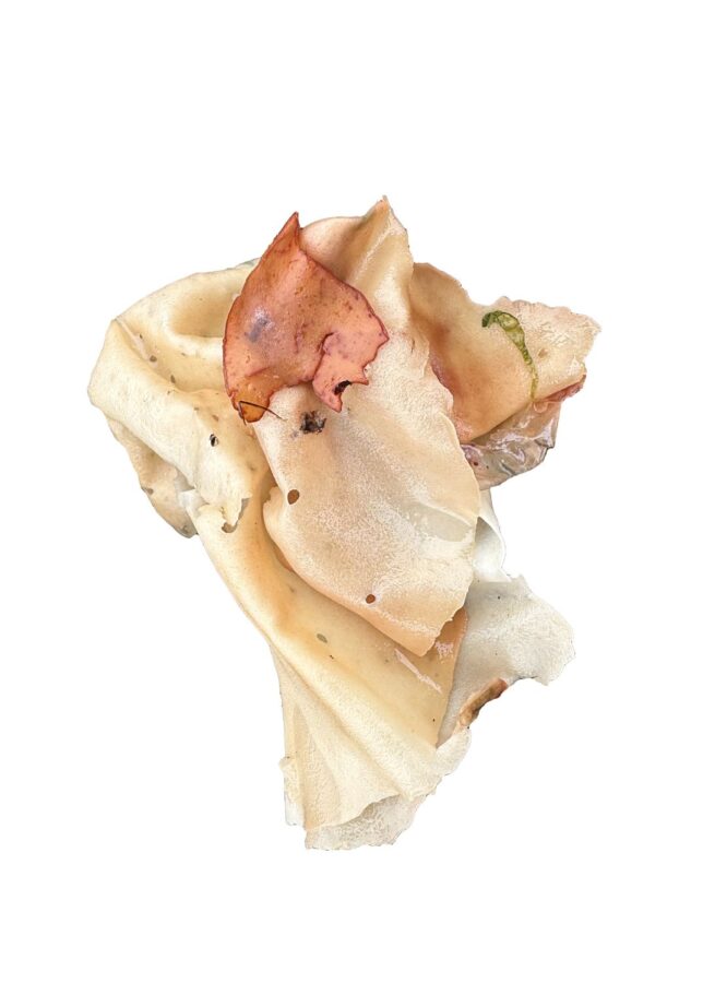 Image Credit: Eva Skold Westerlind, Gifts From the Tide #2