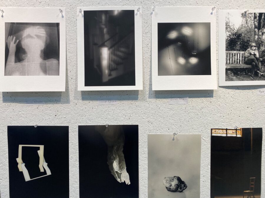 Image Credit: Lisa Ahlberg, 2025 Salon Exhibit