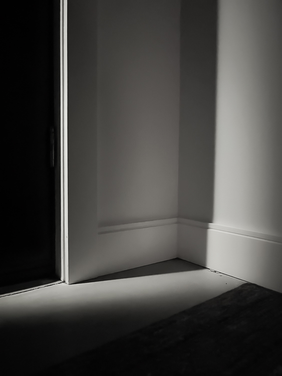 Image Credit: Rachel Demy, acquire by virtue, 2023