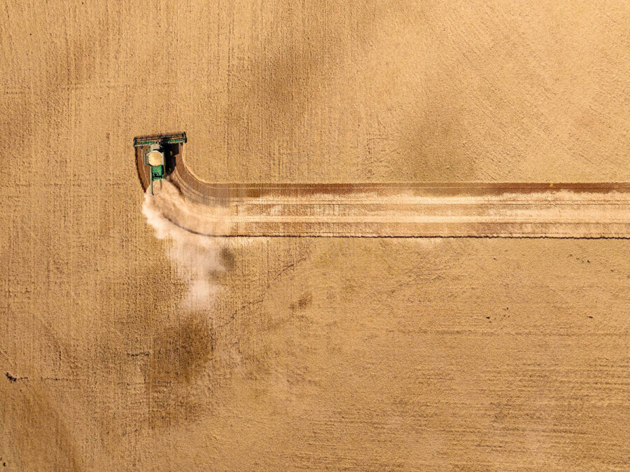 Francis Zera, Oakesdale