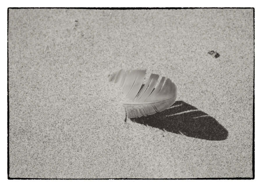 Daniel Gregory, Ebb and Flow, 2025