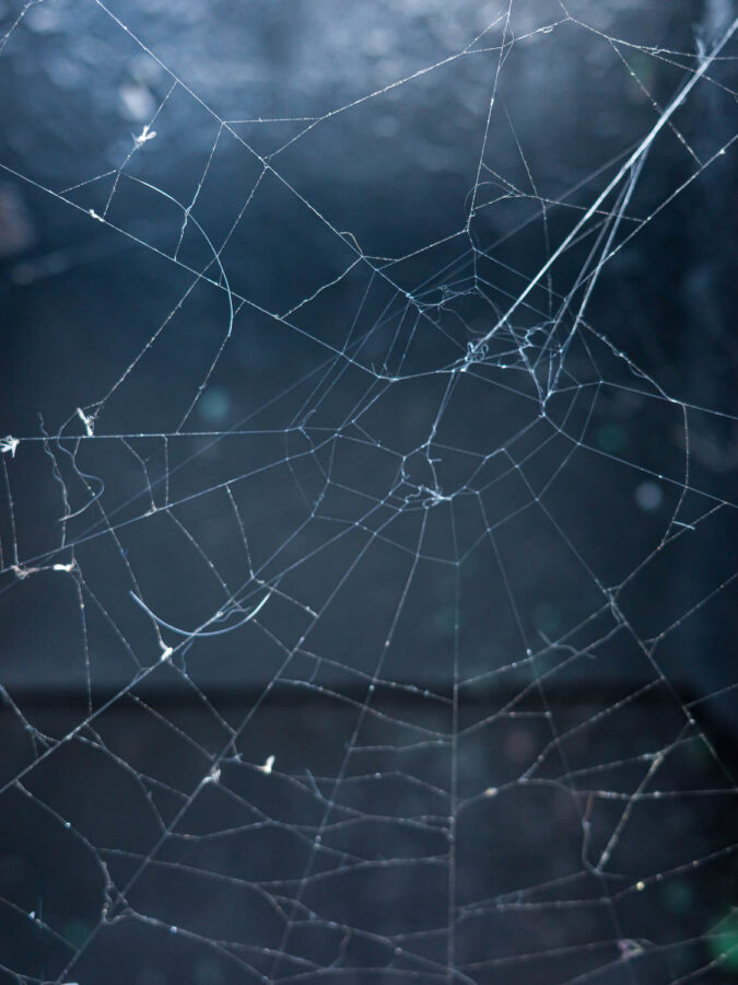 Rachel Demy, you struggle to remember, 2023