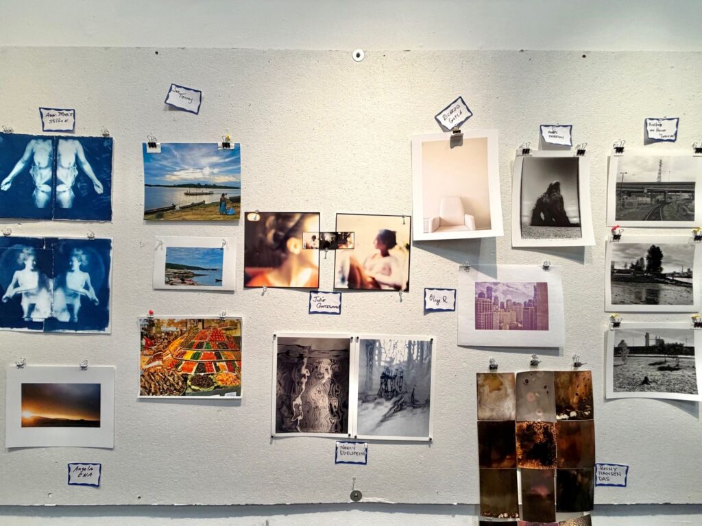 Image Credit: Lisa Ahlberg, 2026 Salon Exhibition