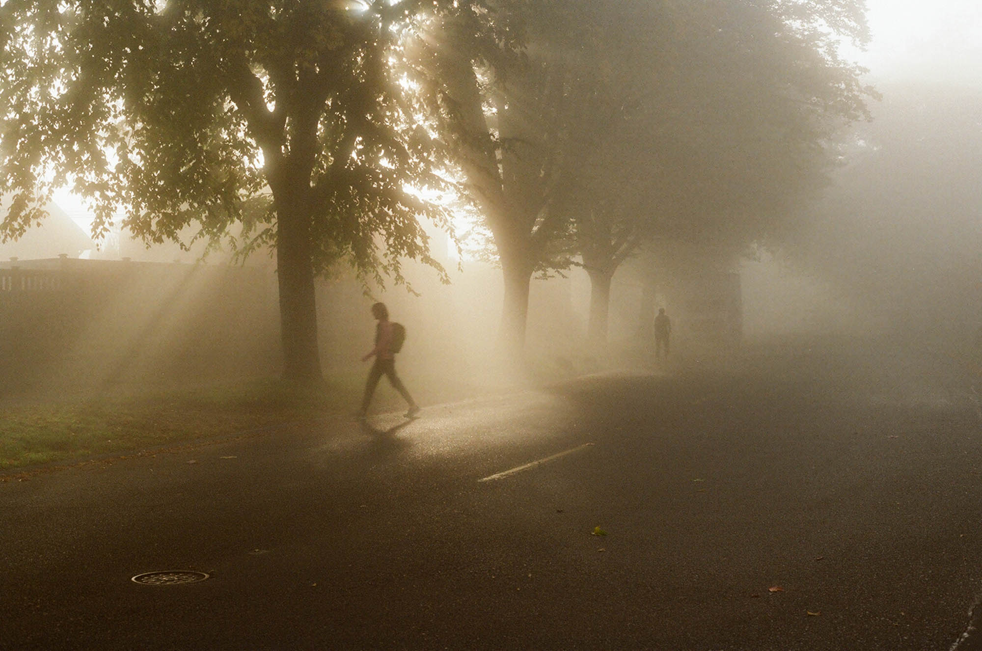 Christina Hickman, october mornings, 2023