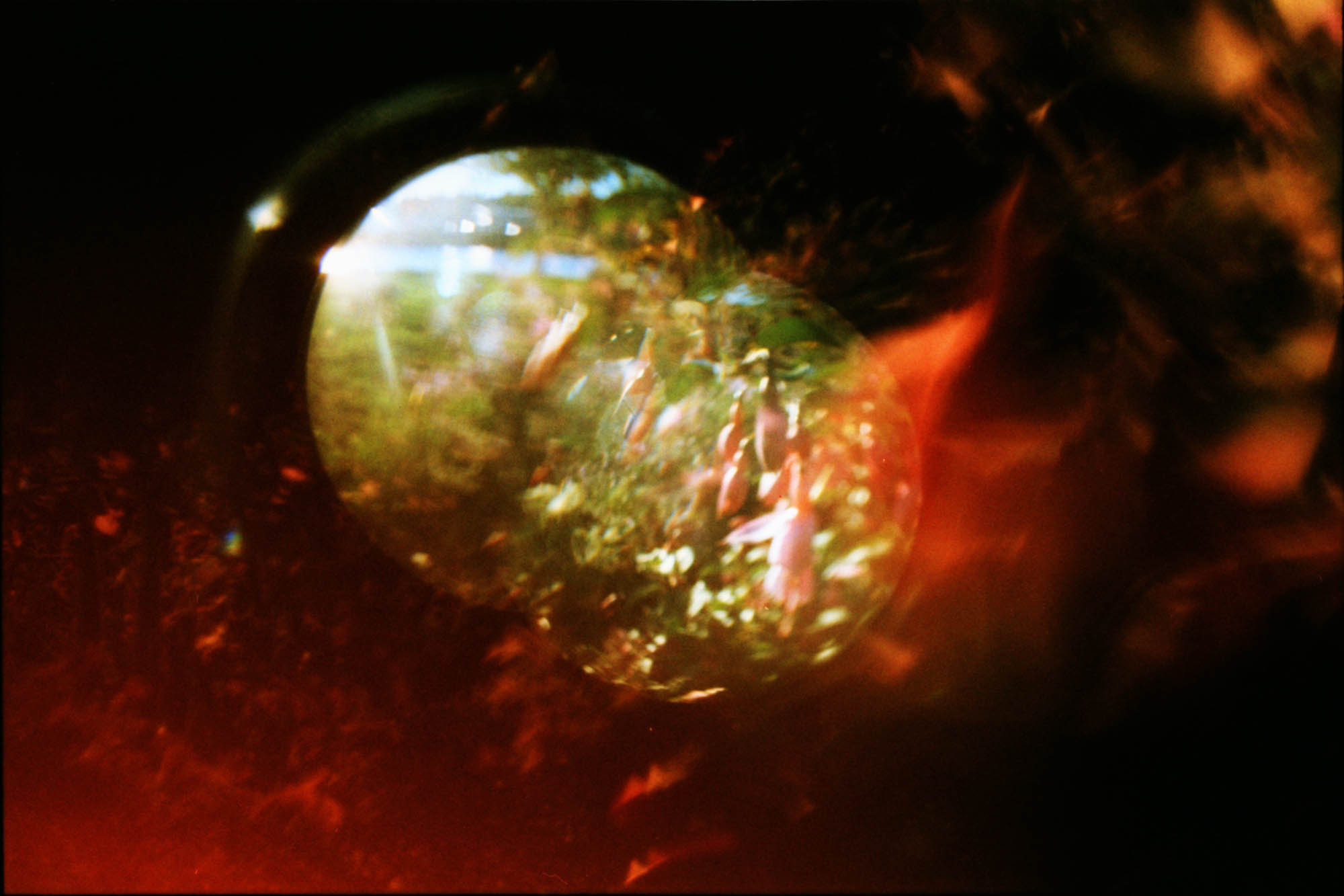 Quinn Hallenbeck, [possibilities], 2025