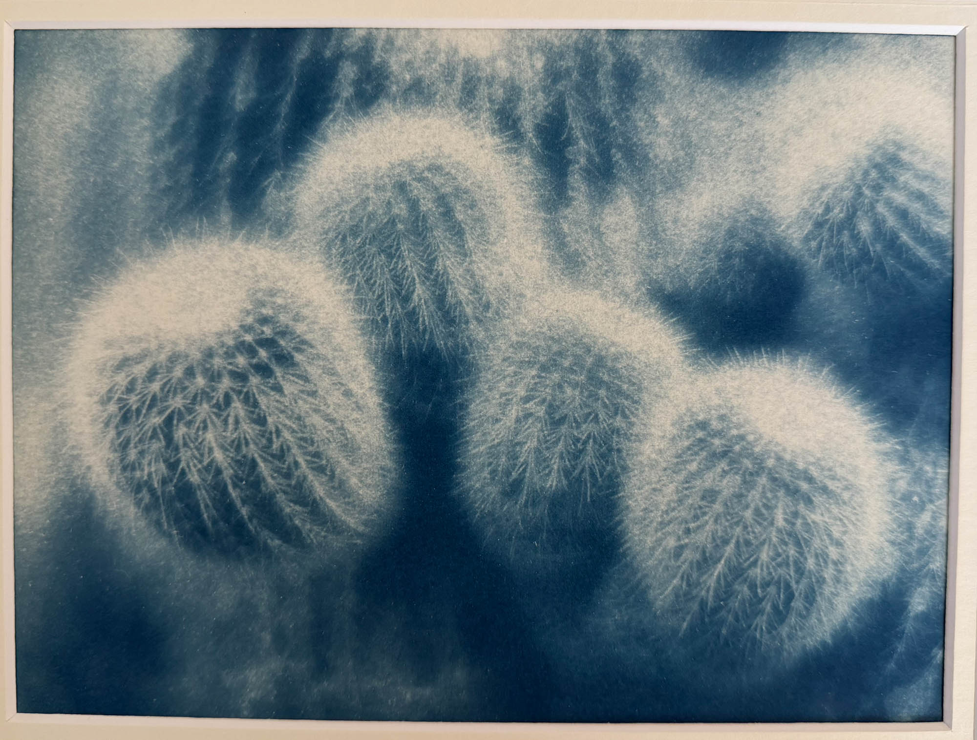 Sally Kim-Miller, Blue Cacti #2, 2023