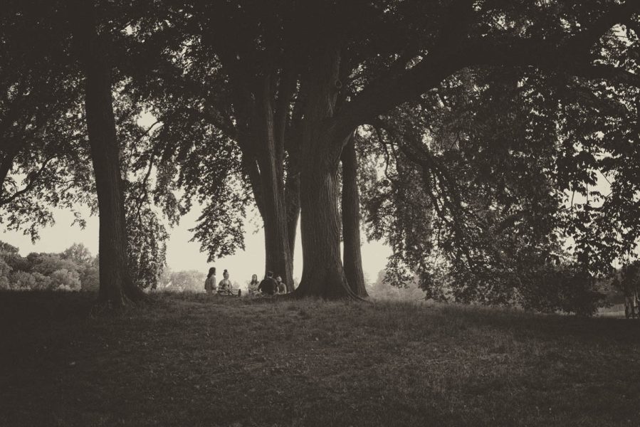 Jill Inbar, Music Circle Summertime in Prospect Park, 2020