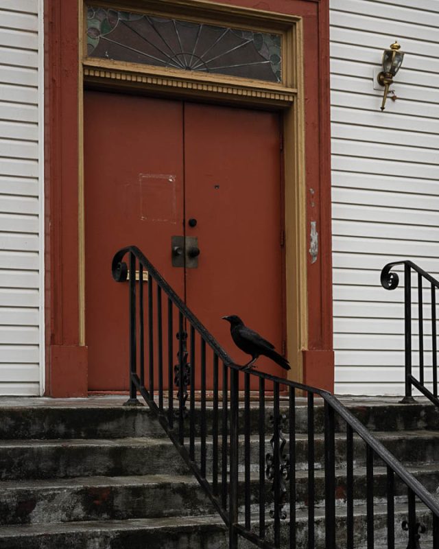 Throughline_of_the_City-18