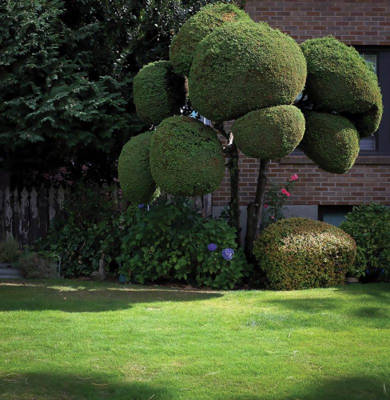 Throughline_of_the_City-56