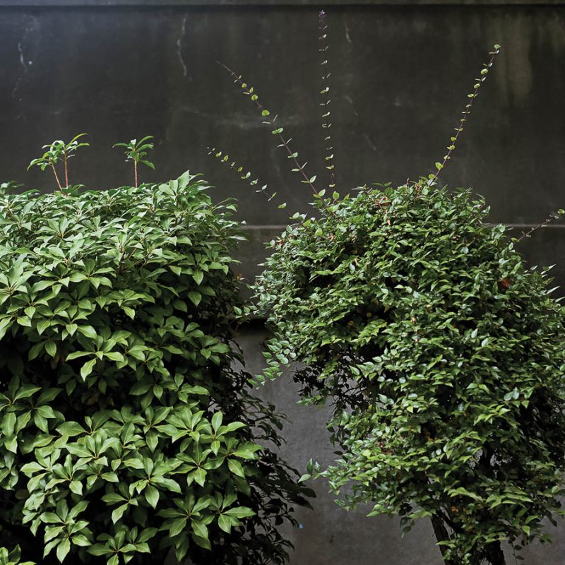 Throughline_of_the_City-70