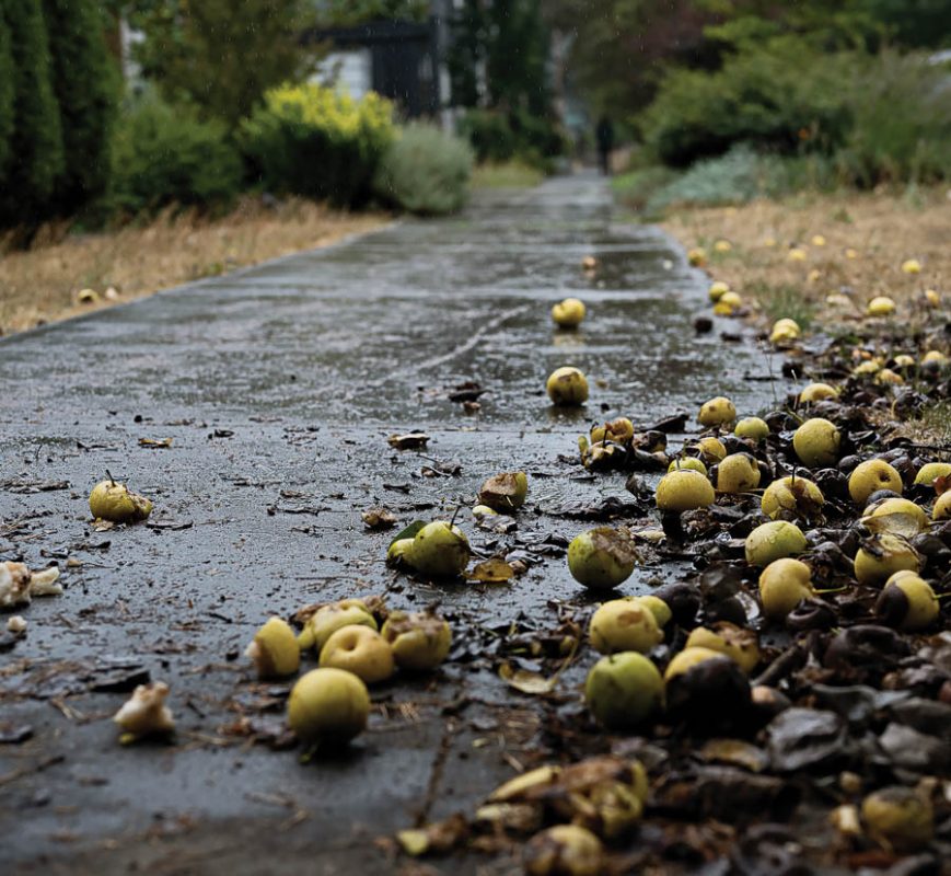 Throughline_of_the_City-80